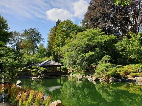 Obraz japanese garden