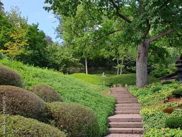 Obraz path in the garden