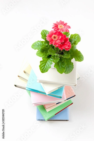 Fototapeta 積まれた本とガーベラ