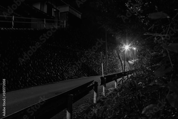 Obraz 石垣とガードレールと街路灯のモノクロ写真