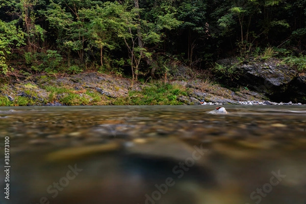 Obraz 川面から見た秋川の様子