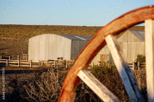 Obraz Atardecer de campo.