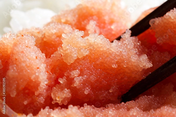 Obraz 辛子明太子