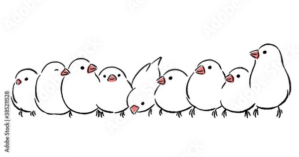 Fototapeta 文鳥がいっぱい