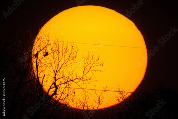 Obraz Big Sun telescope 900mm