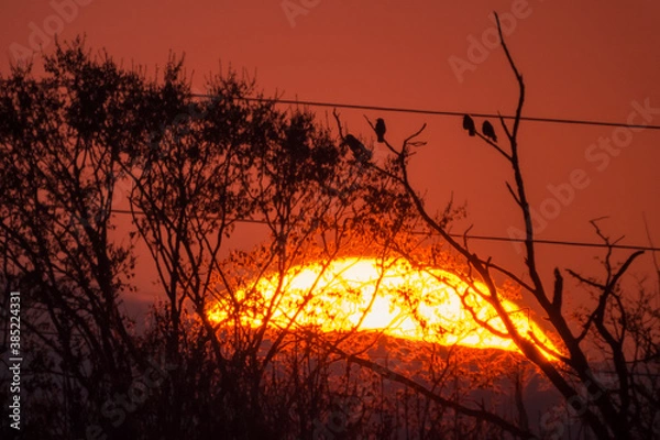 Obraz Big Sun telescope 900mm