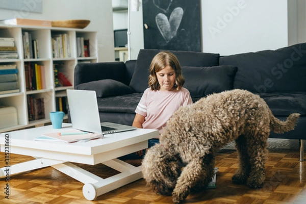 Fototapeta teenager girl playing with her dog at home