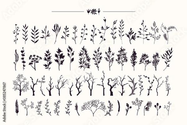 Fototapeta Tree branches, herbs, plants silhouettes made with ink. Hand drawn clipart illustration collection of rustic, floral design elements. Wood twigs, sticks, forest, flowers, leaves. Isolated vector set.
