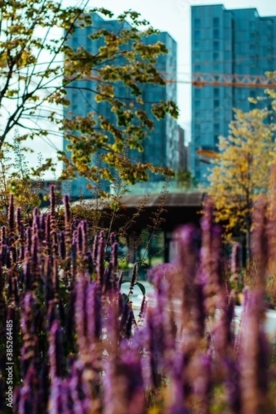 Obraz central park city