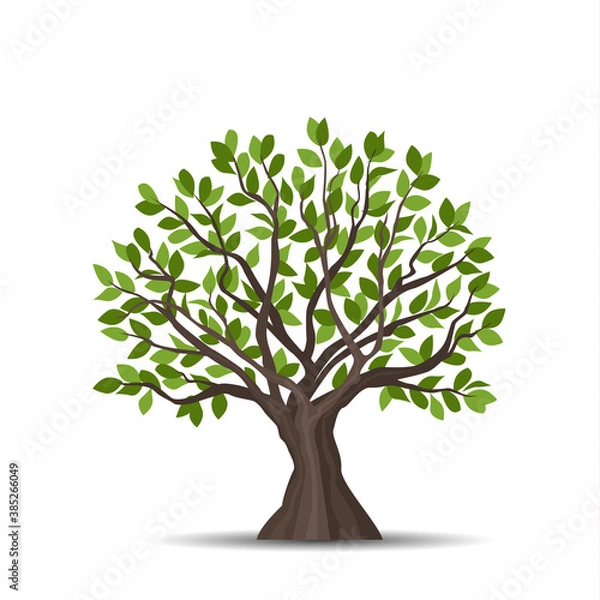 Obraz Trees with leaves