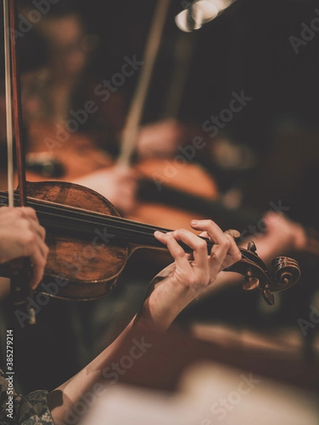 Fototapeta Close frame for the hand of a violinist of a symphony orchestra