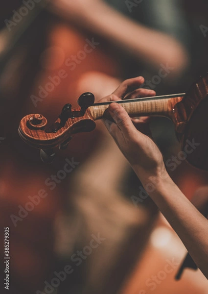 Fototapeta Close frame for the hand of a violinist of a symphony orchestra