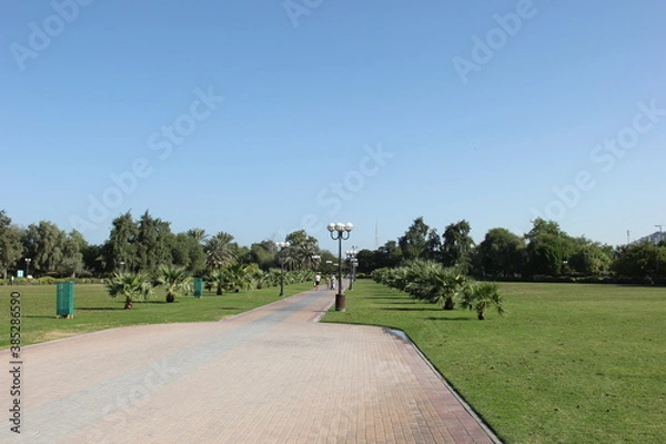 Obraz golf course in the morning  Dubai 2014