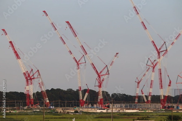 Obraz クレーンの大群