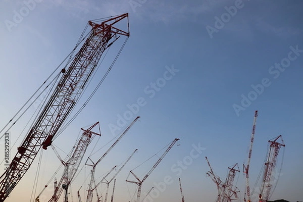 Obraz クレーンの大群