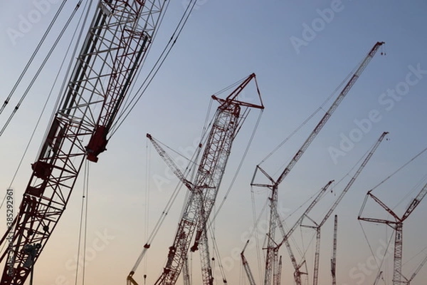 Obraz クレーンの大群