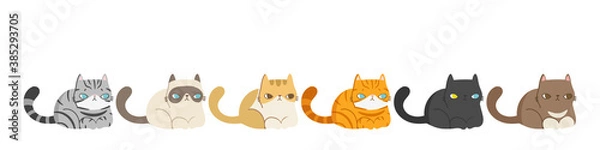 Obraz Set of different cats breeds in the same poses, Isolated on white background. Character design. Vector illustration, Cartoon doodle style.