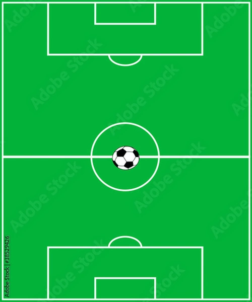 Obraz The Soccer field.