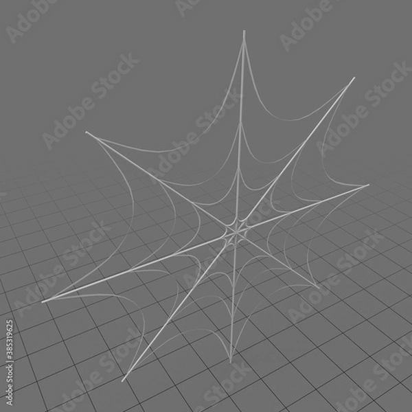 Obraz pajęcza sieć