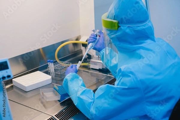 Fototapeta A scientist in PPE safty uniform pipetting sample experiment in biological safety cabinet (BSC).