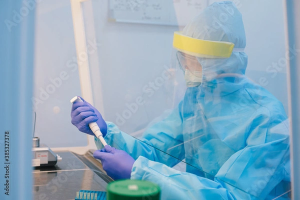 Fototapeta A scientist in PPE safty uniform pipetting sample experiment in biological safety cabinet (BSC).