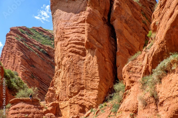 Fototapeta park state