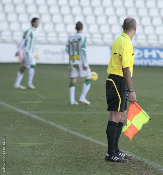 Fototapeta Arbitro linier