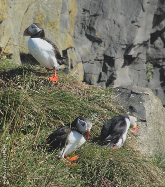 Obraz Where did you lose it?