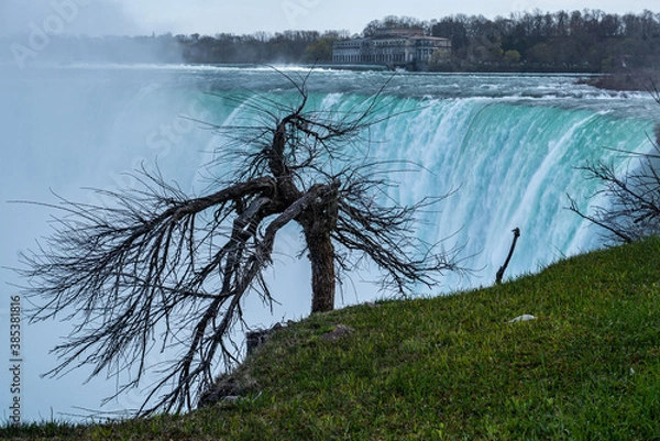 Obraz Niagara Falls Canada with dried tree