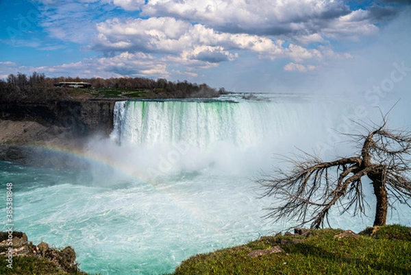 Obraz Niagara Falls Canada with rainbow