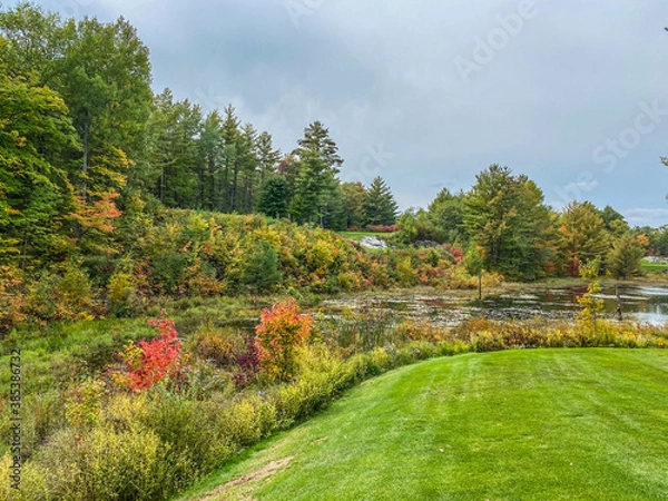 Fototapeta pond in fall