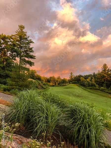 Fototapeta sunset on the course