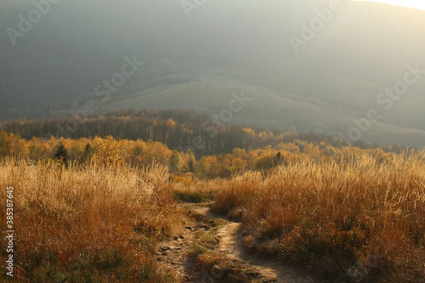 Obraz polskie góry, Bieszczady
