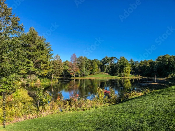 Fototapeta pond and forest