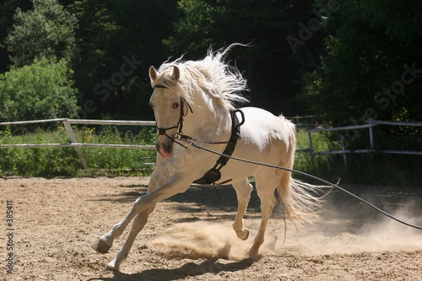 Obraz bei der arbeit
