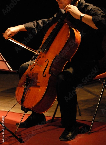 Obraz Viola at a concert