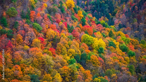 Obraz autumn mountain