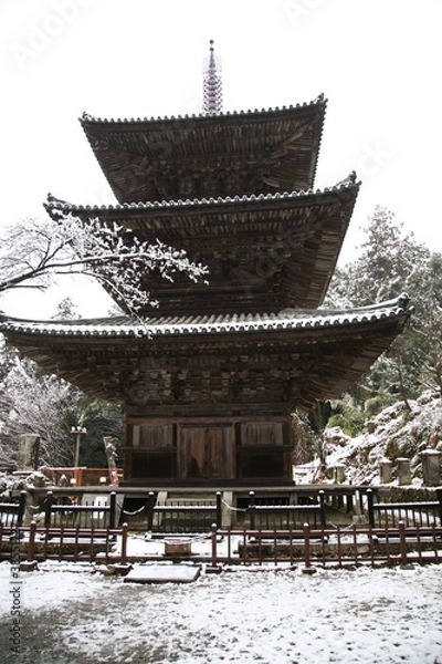 Obraz 一乗寺三重塔