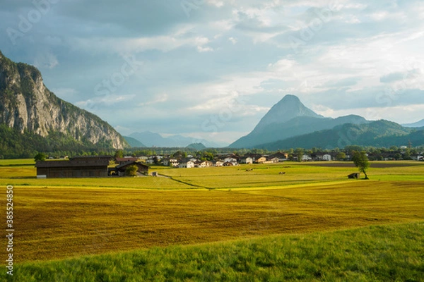 Obraz Ebbs near Kufstein in beautiful evening light with grazing cows and freshly fertilized meadow in the foreground