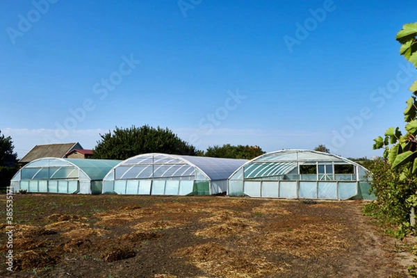 Obraz greenhouse with a greenhouse