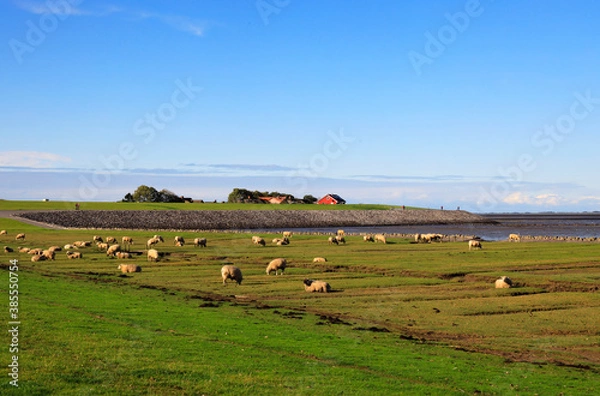 Obraz The Peninsula Nordstrand in Germany, Europe