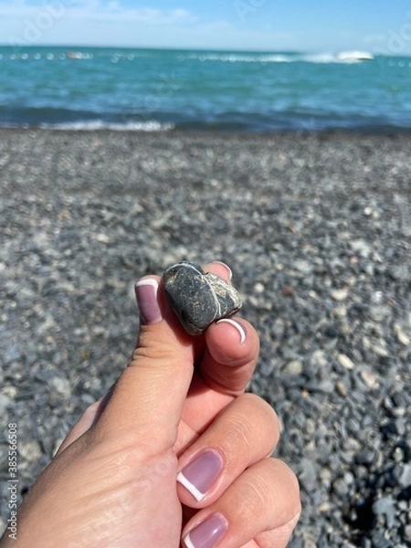 Fototapeta hand with shells