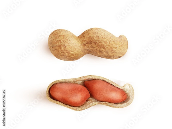Obraz large peanuts in shell on white background