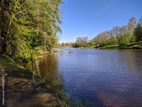 Obraz calm flow of the river in the daytime