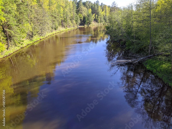 Obraz calm flow of the river in the daytime