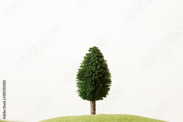 Fototapeta 草原と木