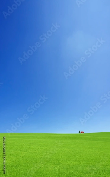 Obraz 草原の赤い家