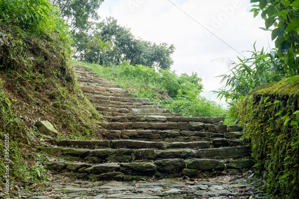 Fototapeta Mountain trekking trail with natural stone steps, passing through trees and walls overgrown with dense green moss