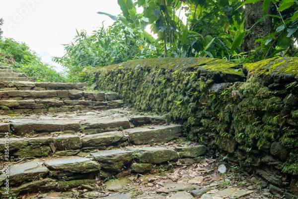 Fototapeta Mountain trekking trail with natural stone steps, passing through trees and walls overgrown with dense green moss