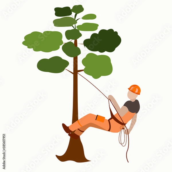 Obraz A male arborist climbs a tree on a rope